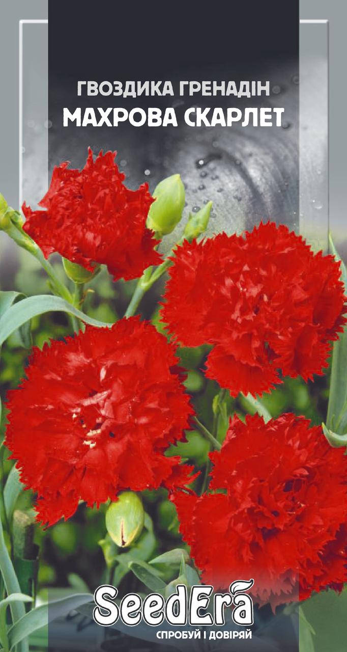 

Семена Гвоздика Садовая Гренадин махровая Скарлет двухлетняя, 0,2 г, Красный