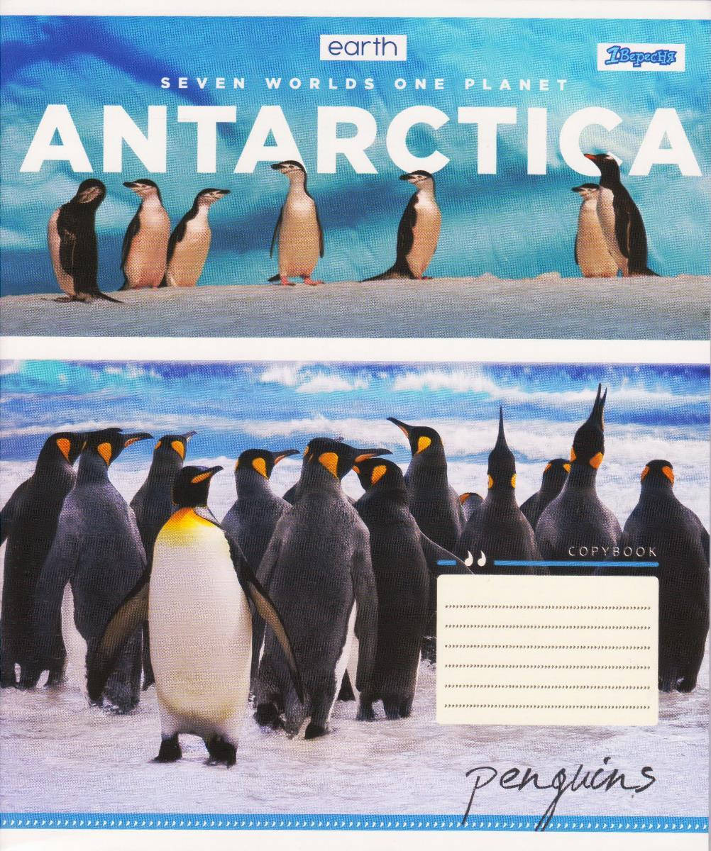 

Тетрадь 60 л. клетка "Earth Animal" 764956