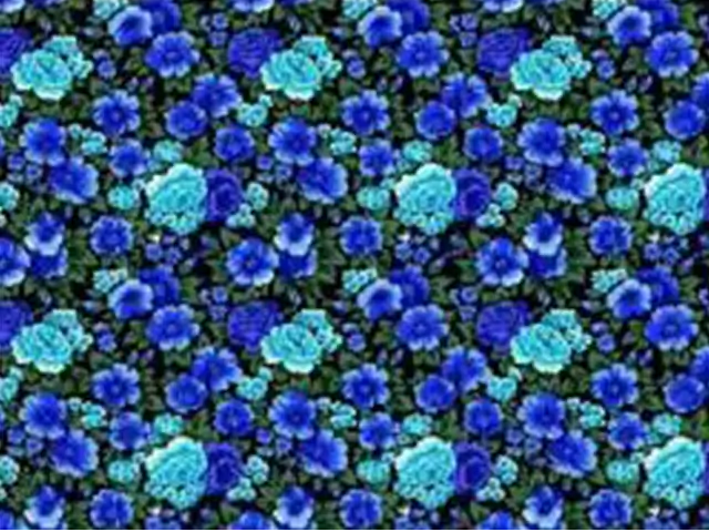 

Бязь набивная плательные диз: 2710