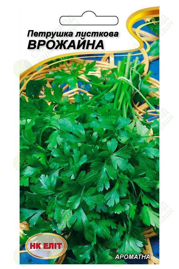 

Петрушка листовая Урожайная 3 г НК ЭЛИТ