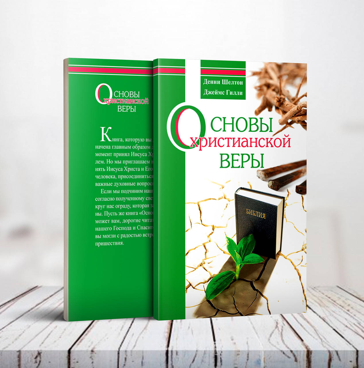 

Основы христианской веры – Дженни Шелтон, Джеймс Гилли