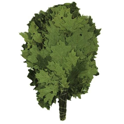 

Веник дубовый