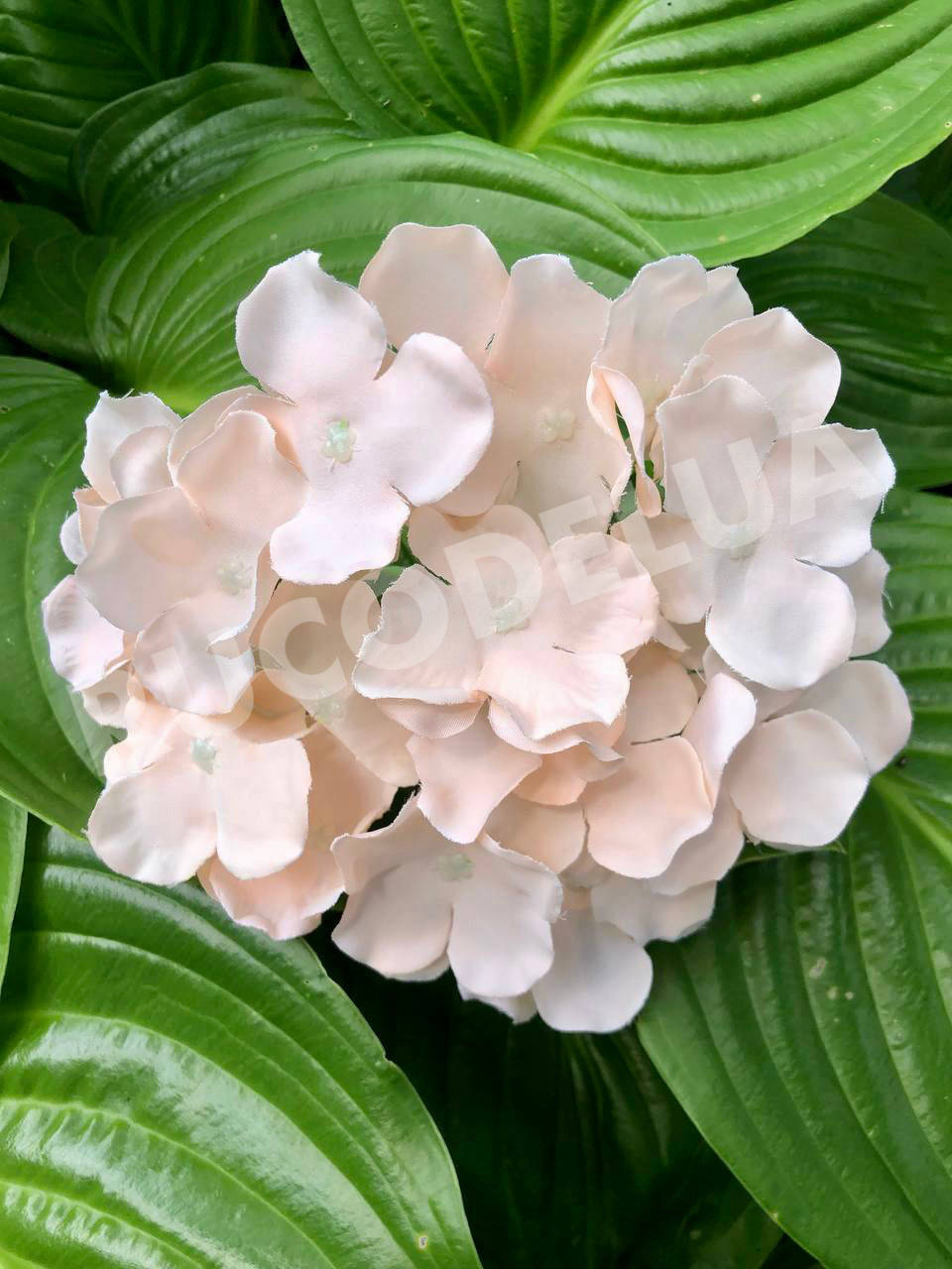 

Гортензія тканьова голівка (16 см) персикова, Белый