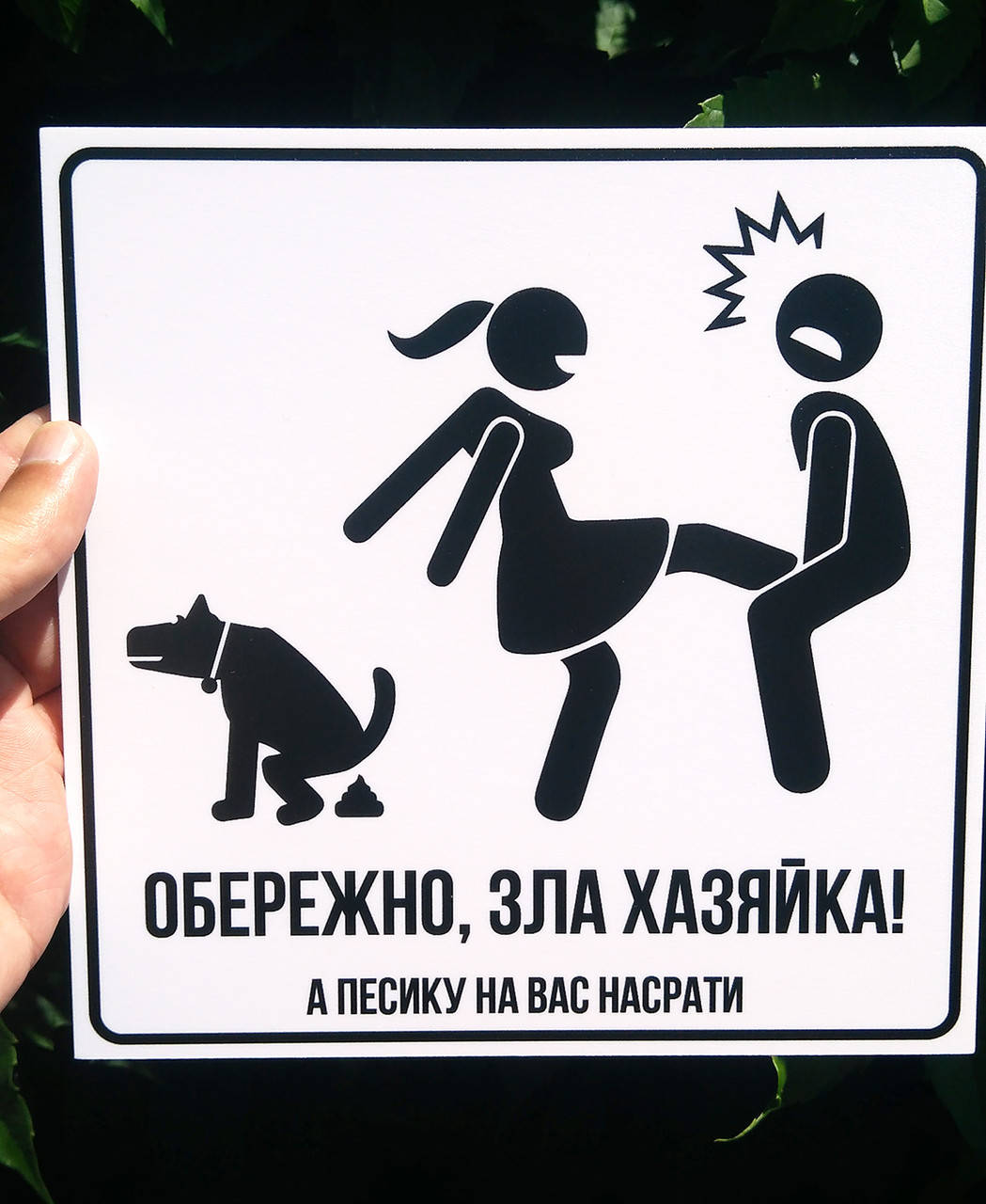 

Табличка вогонь "Зла хазяйка" з собакою. Табличка прикол на ворота