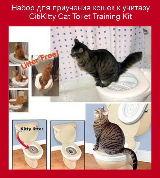 

Набор для приучения кошек к унитазу CitiKitty Cat Toilet Training Kit, спеши купить