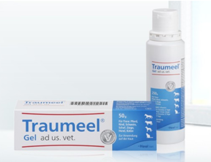 

Траумель гель 50 г ( при суставной и мышечной боли )