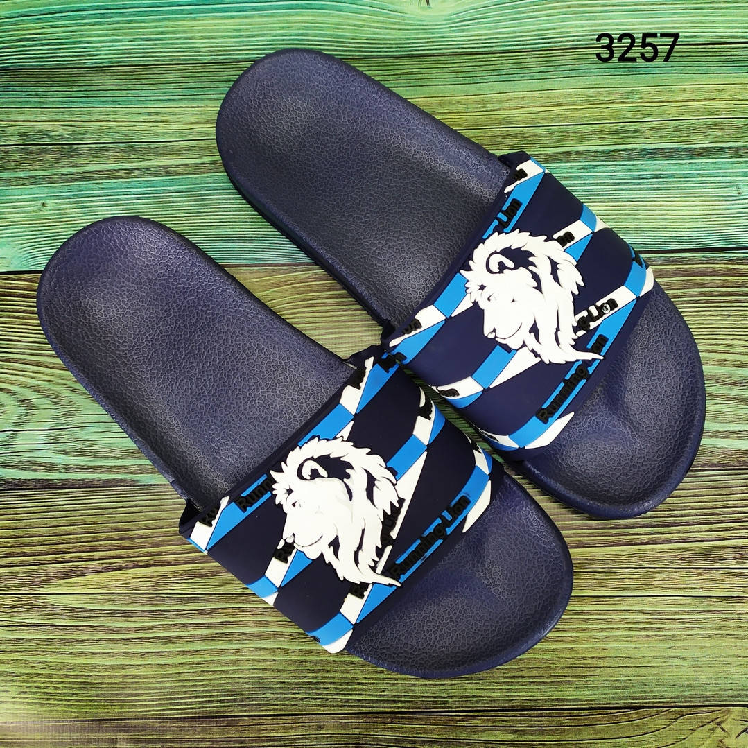 

Мужские шлепанцы со львом, сланцы в разных цветах, Sanlin 42р - 27 см, синий/голубой