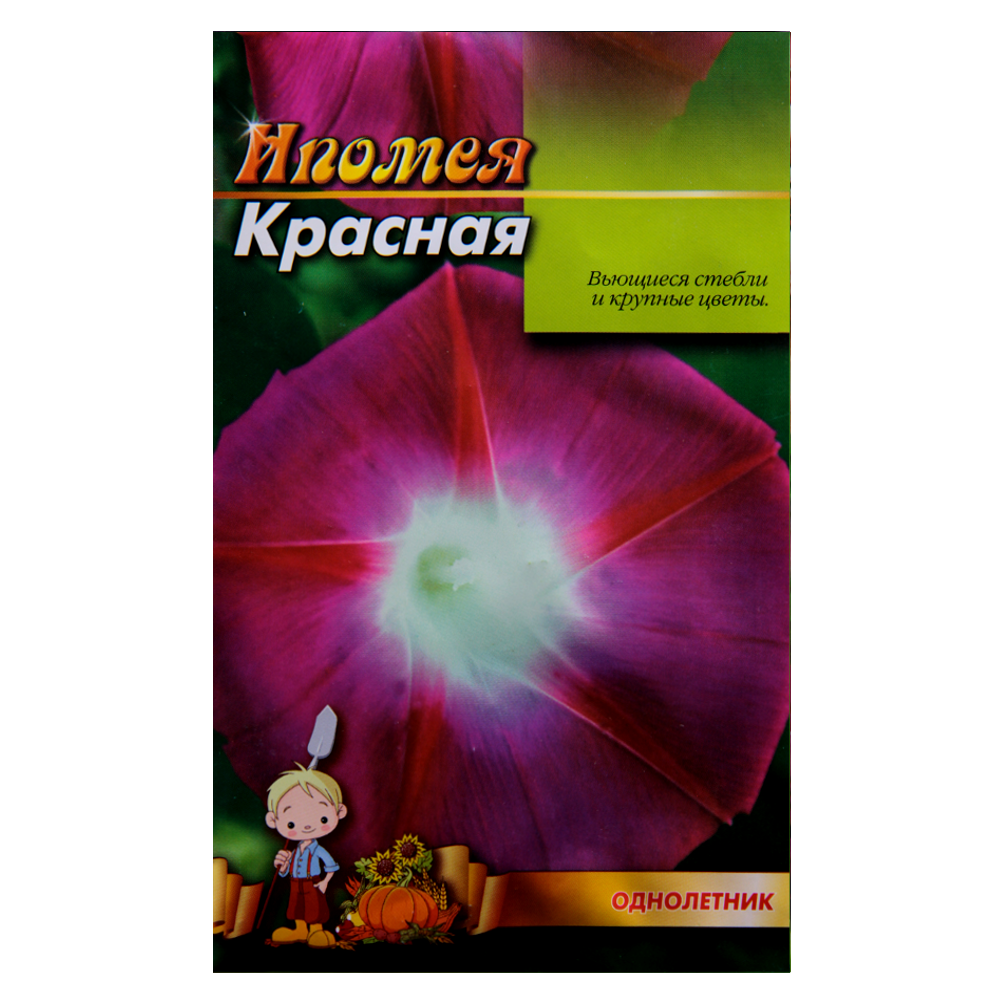 

Ипомея Красная однолетник семена цветы, большой пакет 3 г, Красный