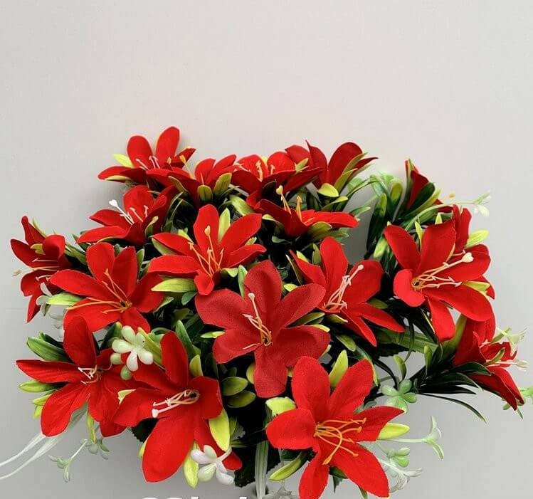 

Лилия филадельфийская бархат не пресс.