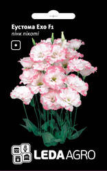 

Семена Эустомы Эхо F1, 5 шт., пинк пикоти, Розовый