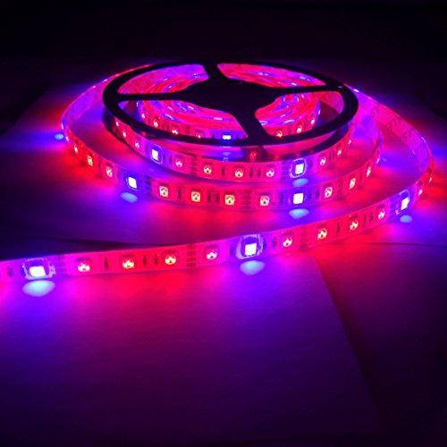 

Фитолента светодиодная SMD 5050 (60 LED/m) IP65 4:1
