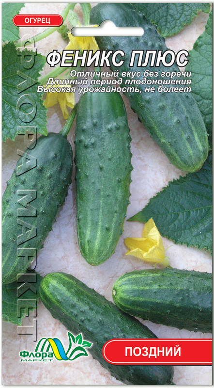 

Огурец Феникс Плюс (большой пакет)