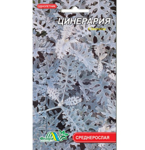 

Цинерария, многолетнее растение, семена цветы 0.1г
