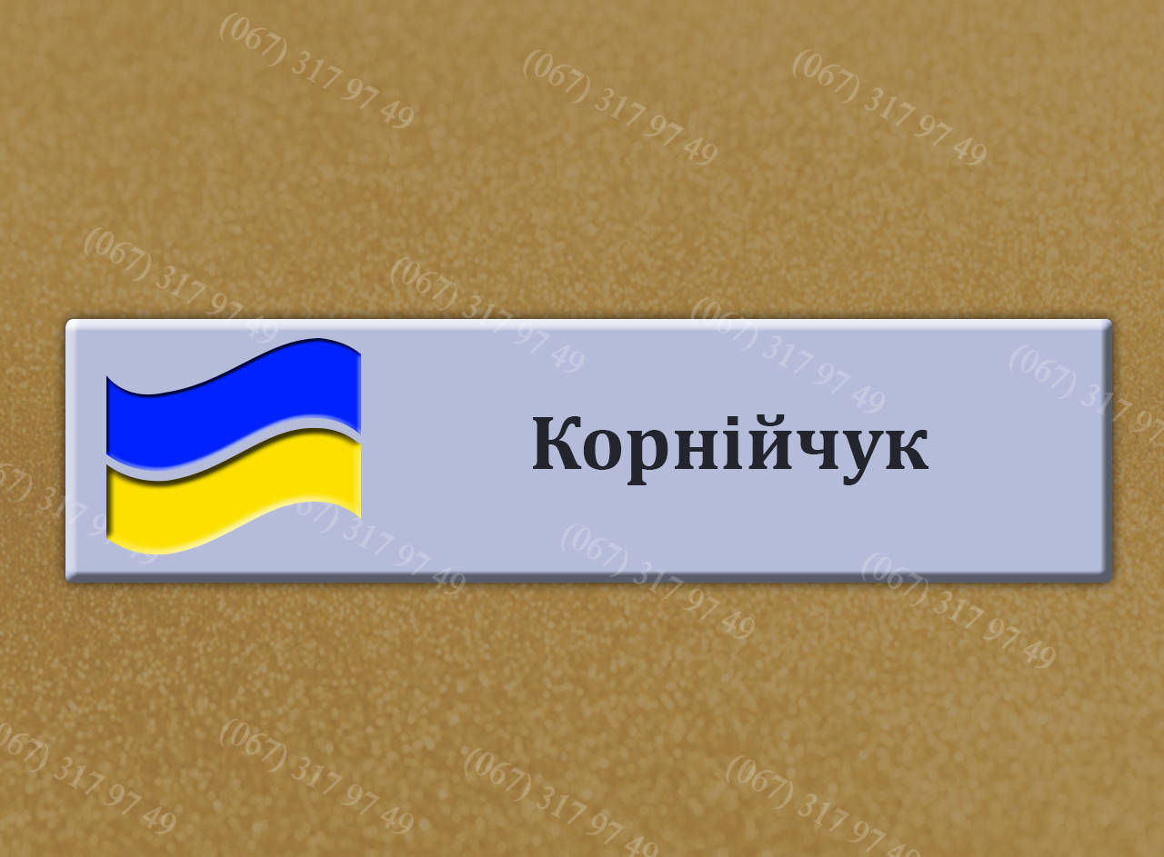 

Табличка з прізвищем нпу, мвс, дпсу (металева) виготовлення за 1 годину, Золотистый