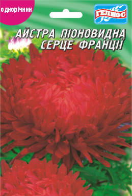 

Астра Сердце Франции 100 шт.