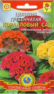 

Насіння квітів Целозія гребінчаста Кораловий сад 0,2 г суміш (Плазмові насіння)