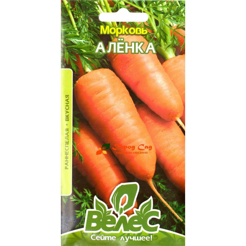 

Семена моркови Аленка 3г ТМ ВЕЛЕС