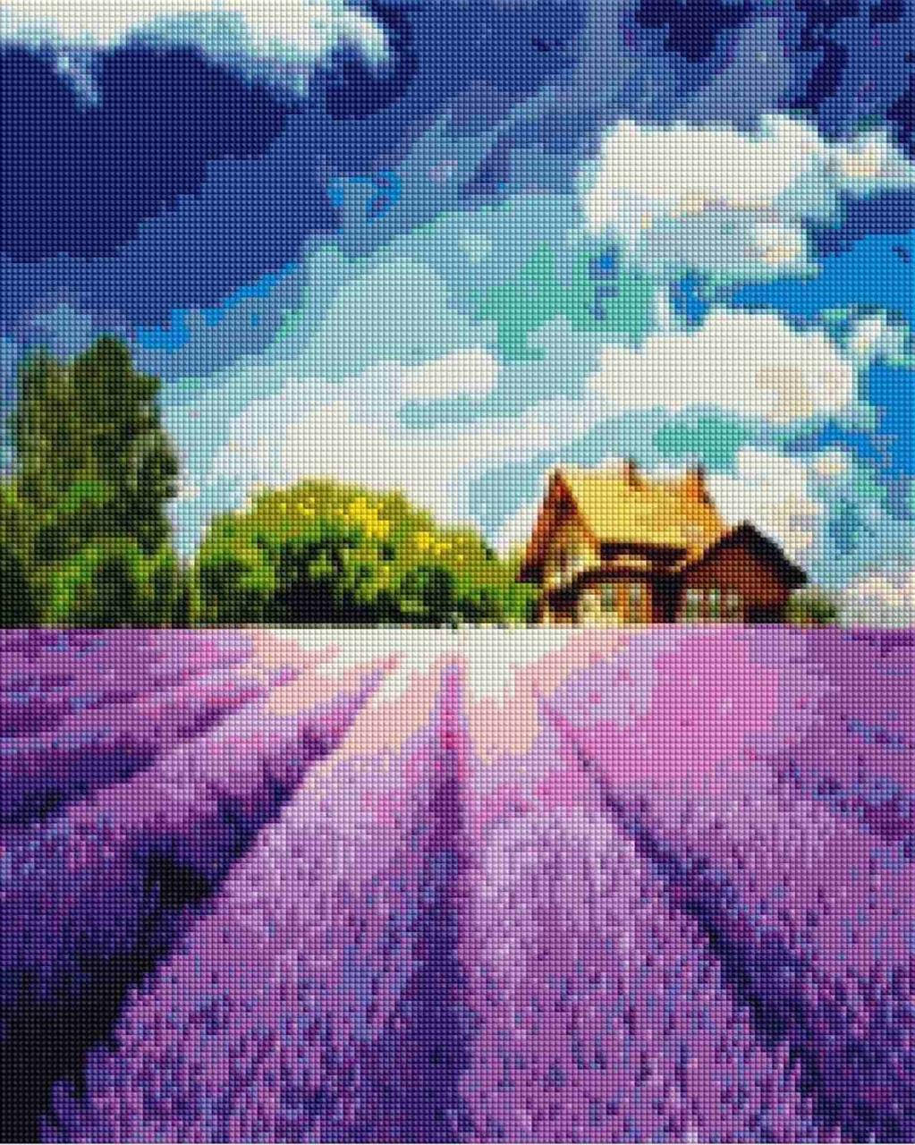 

Алмазная мозаика ColorArt Лавандовое поле 39х49 SP097