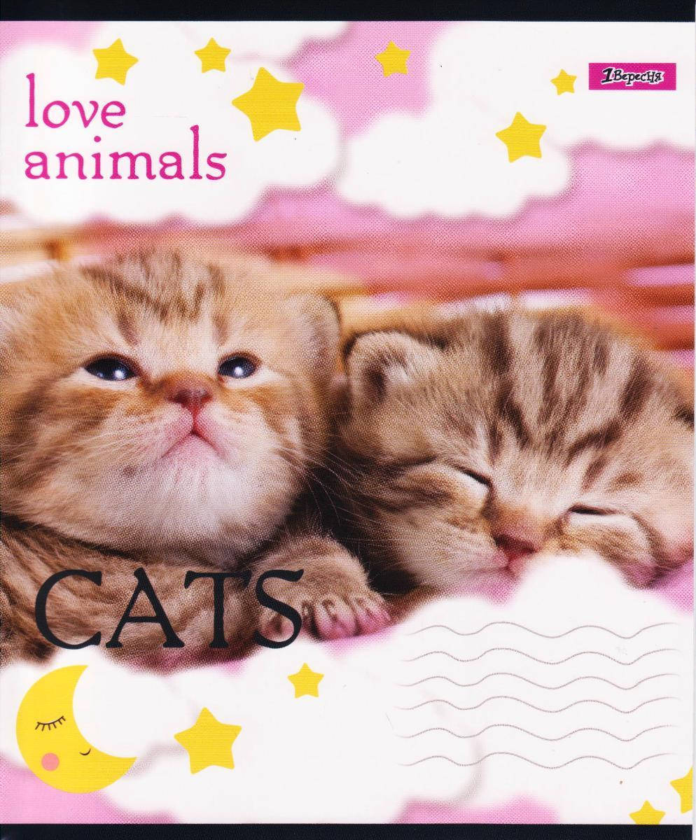

Тетради 18 листов клетка "Cats, Dogs" 764522