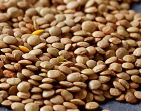 

Органичная зелёная чечевица, 500г