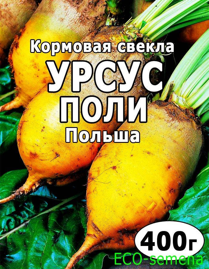 

Семена Свекла кормовая Урсус Поли, Польша, 400 г