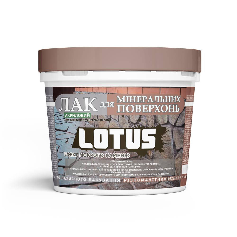 

Лак акриловый для минеральных поверхностей Мокрый камень LOTUS прозрачный 0.5л