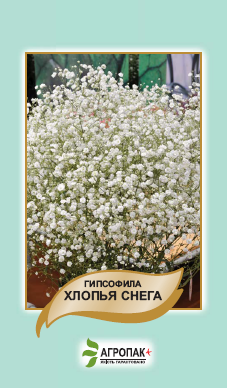 

Семена цветов Гипсофила Хлопья снега 0,1г. Агропак плюс, Белый