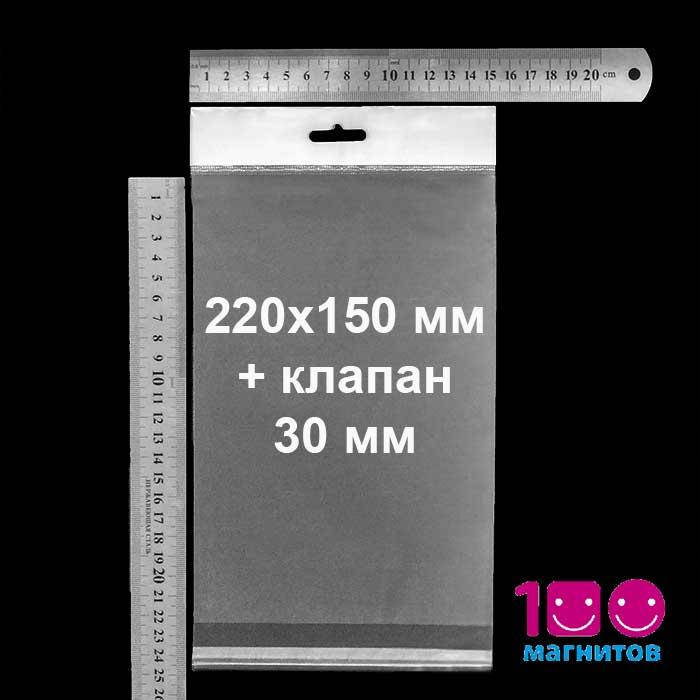 

Полипропиленовые пакеты с еврослотом и клейкой лентой. Размер 220х150 мм. Уп. 100 шт, Прозрачный