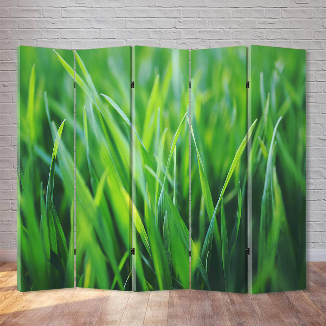 

Ширма "Свежая трава"