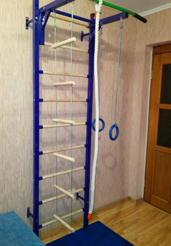 

Спортивная детская шведская стенка Sport Child Plus синяя, Синий