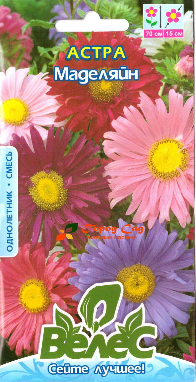 

Семена астры Маделяйн 0,3г ТМ ВЕЛЕС