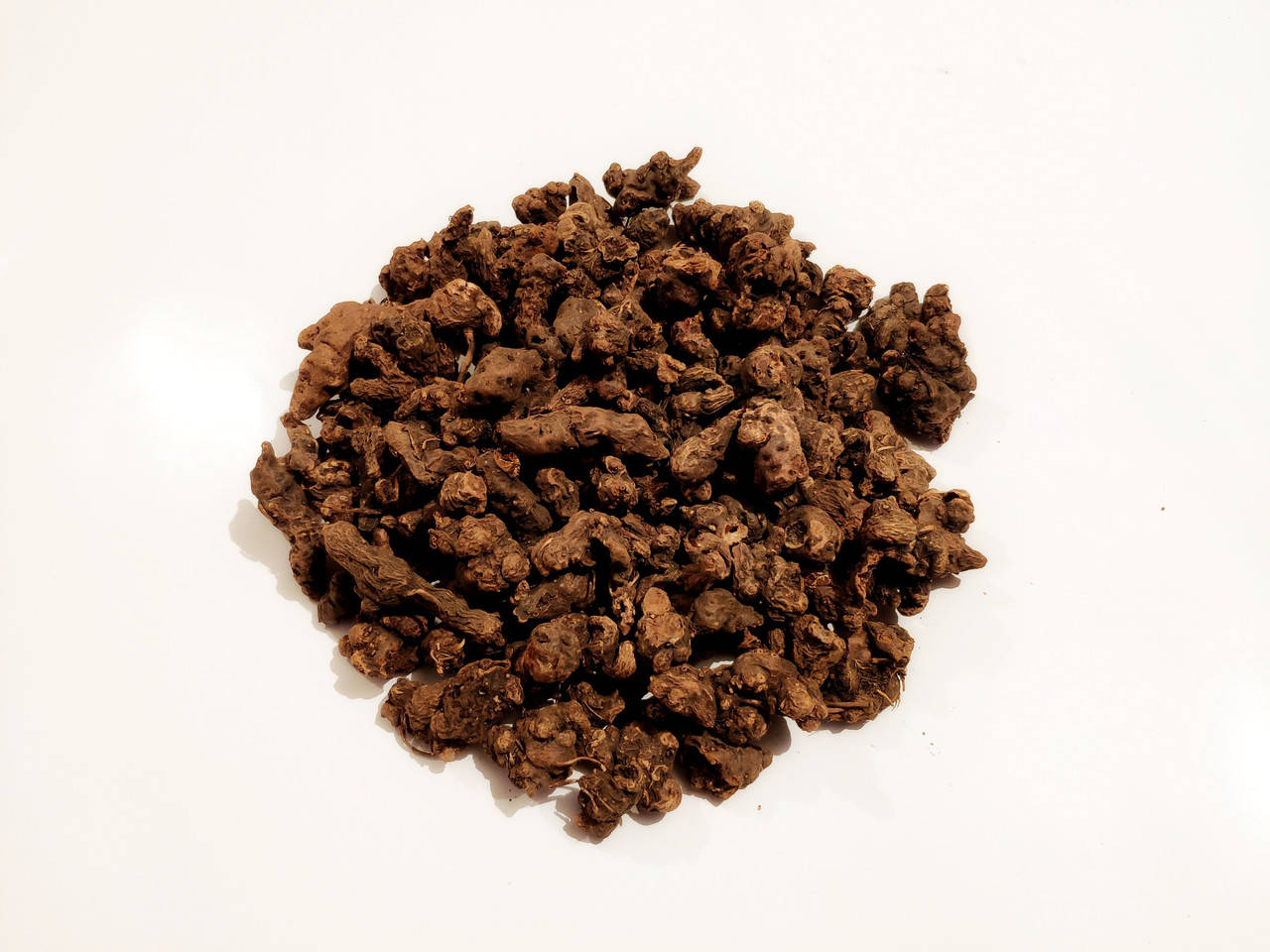 

Калган корень, Лапчатка прямостоячая