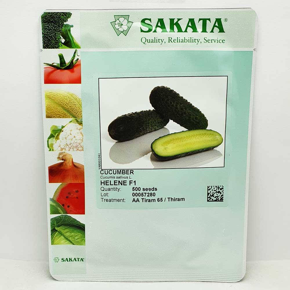

Огурец Хелен F1 / Helen F1 500 семян, партенокарпический (SAKATA)