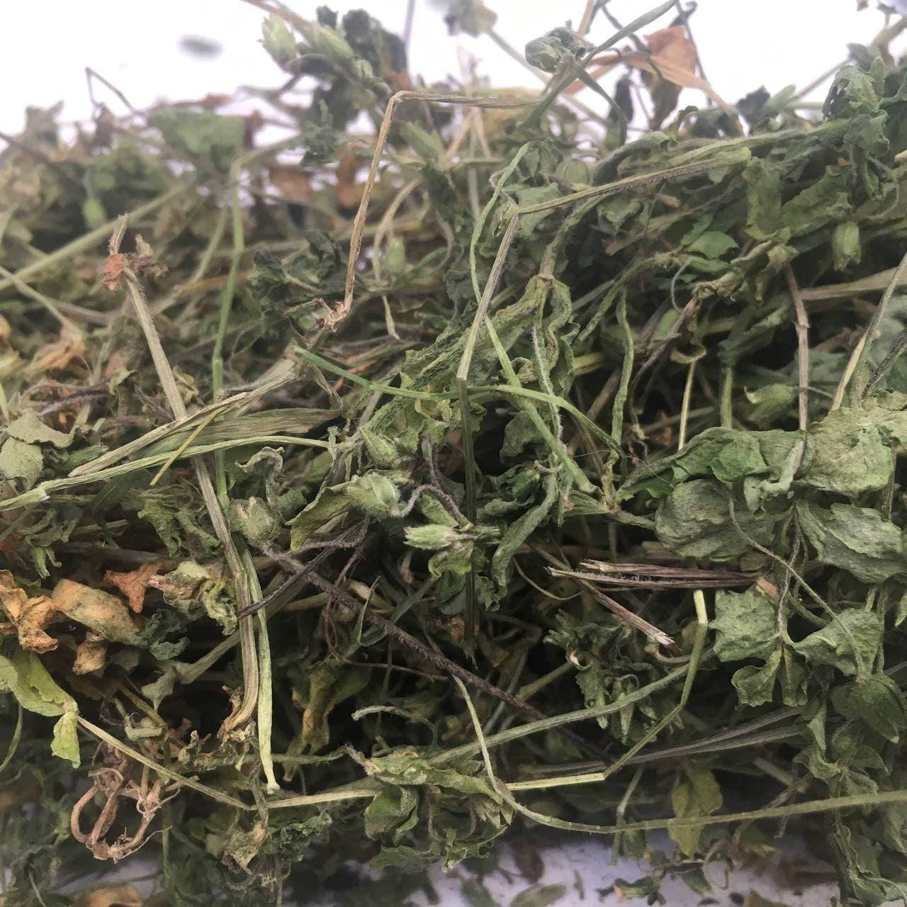 

Звездчатка средняя (мокрица) 50 гр