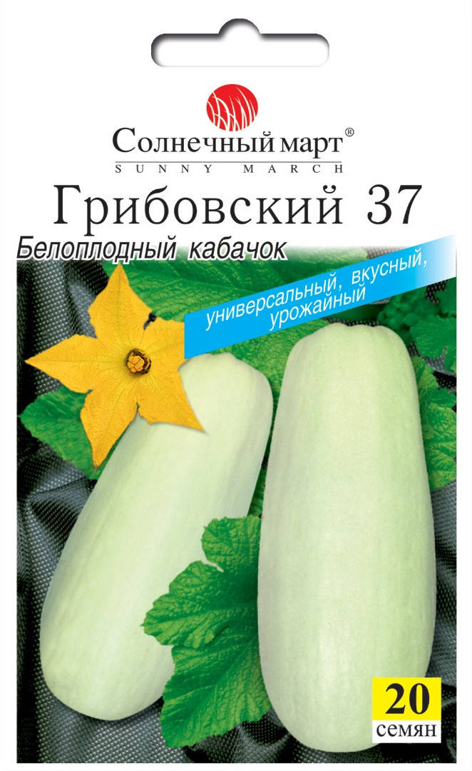 

Кабачок Грибовский, 20шт.