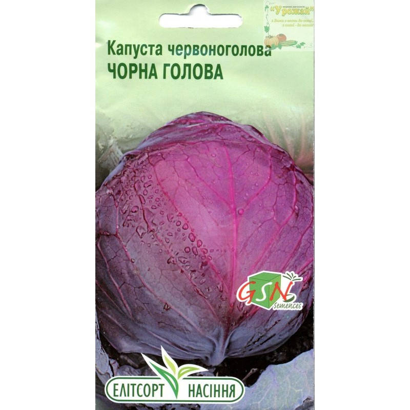 

Семена капуста краснокочанная Черная голова, 0,5 г
