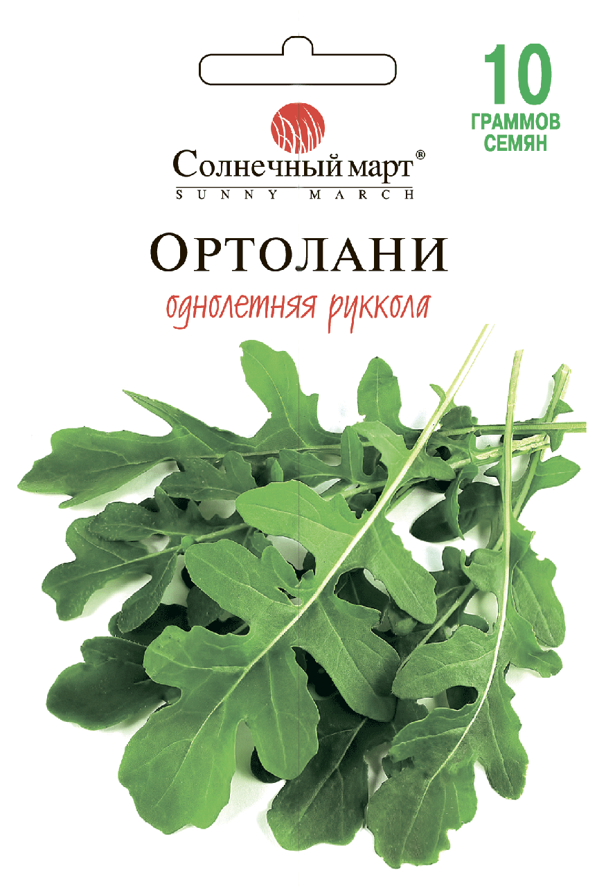 

Руккола Ортолани, 10гр