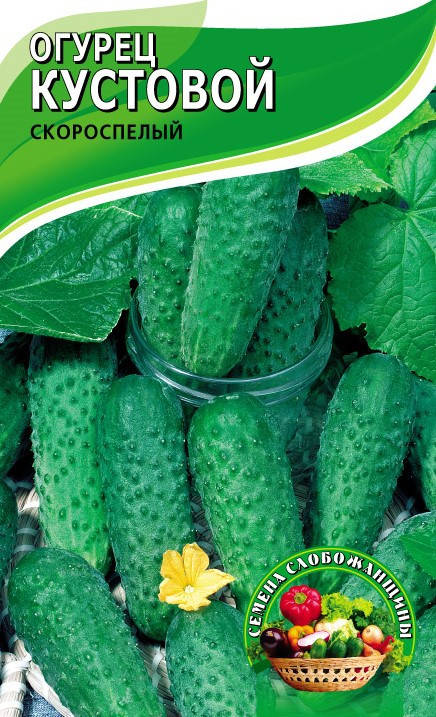 

Семена огурца Кустовой 5 грамм