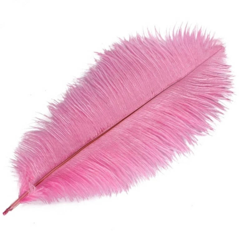 

Перо страуса 25-28 см, розовое, Розовый