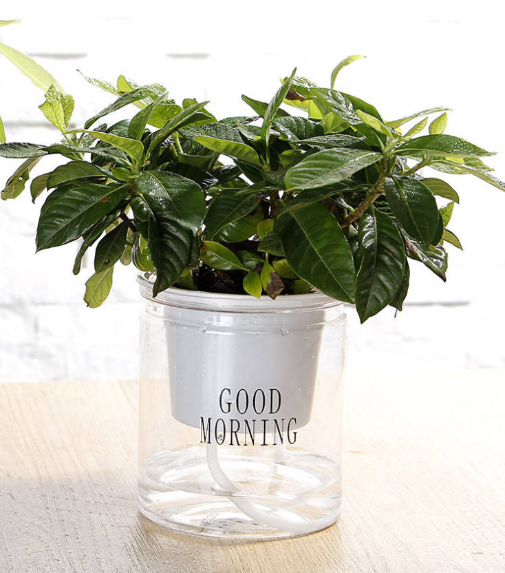 

Кашпо OLens Good morning DL21022594 10х11.5 см, Прозрачный