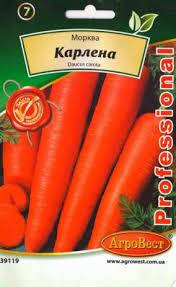 

Семена моркови столовой Карлена 20 г. (АгроВест)