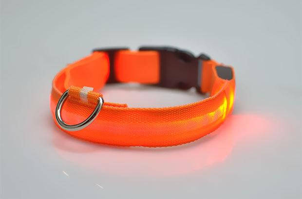 

Светящийся ошейник оранж с полосой USB, Красный
