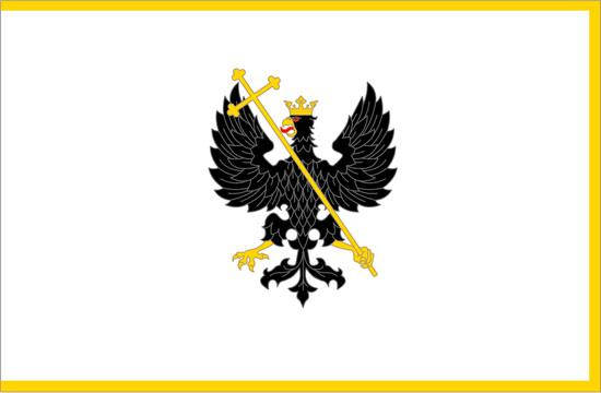 

Флаг Чернигова 90х150см