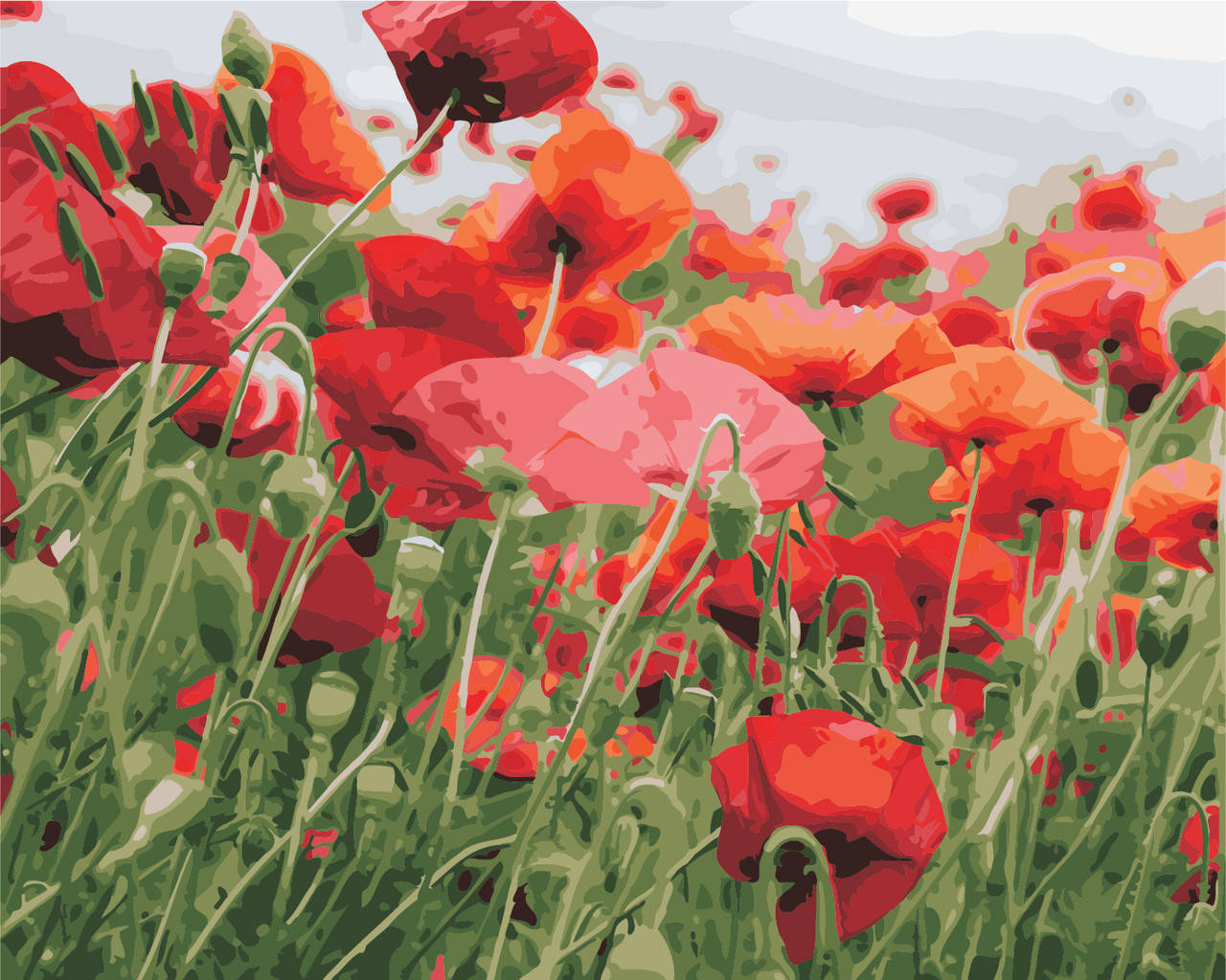 

Картина по номерам Маков цвет 40 х 50 см (AS0352)