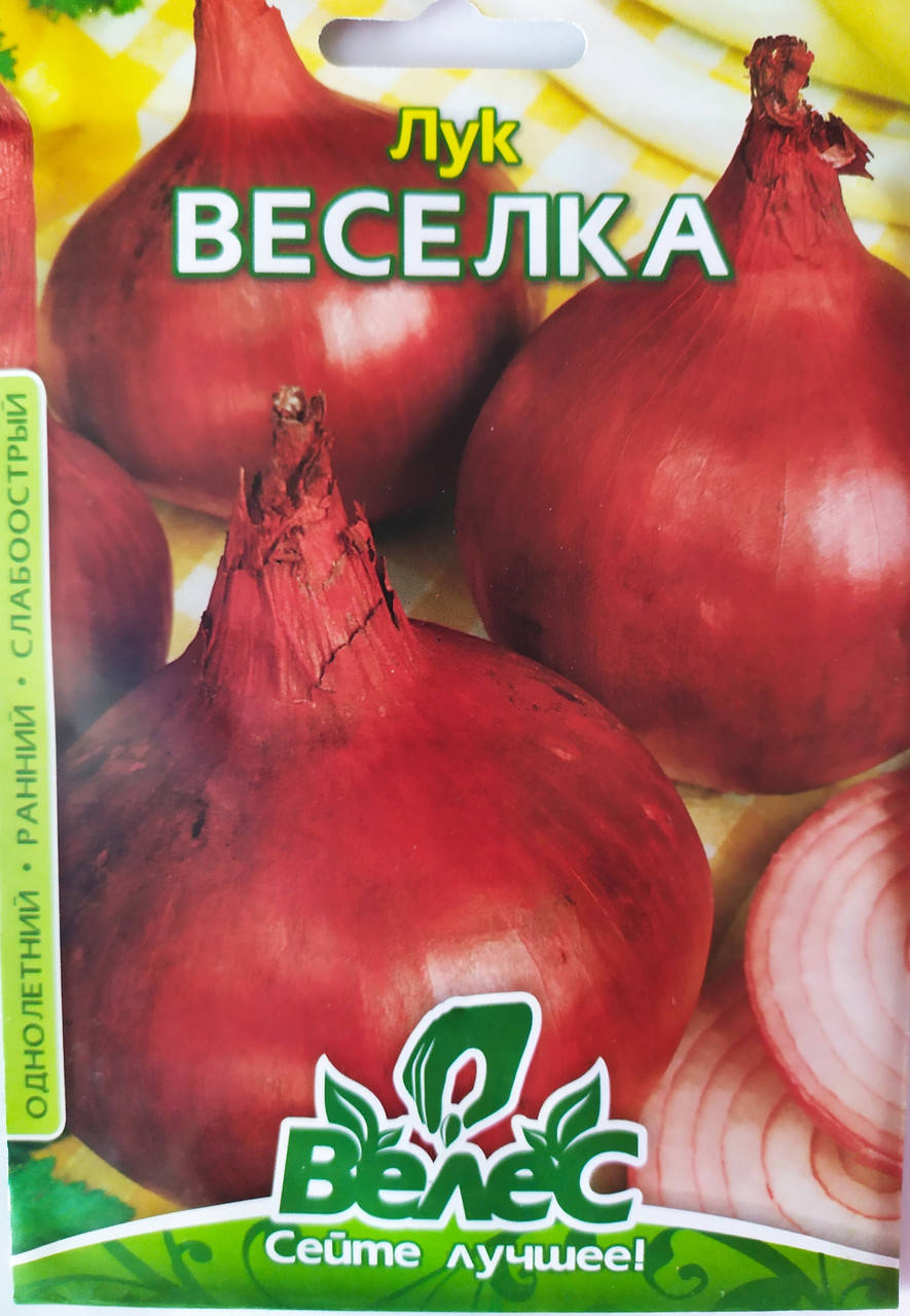 

Цибуля Веселка
