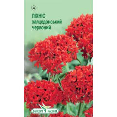 

Семена Лихниса Халцедонський красный 0,2 г