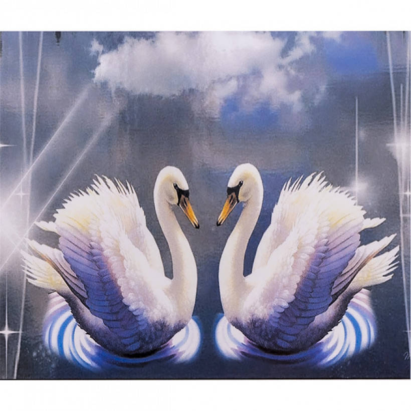 

Алмазная мозаика 40х50 см DIY Лебения верность (SL 70032)