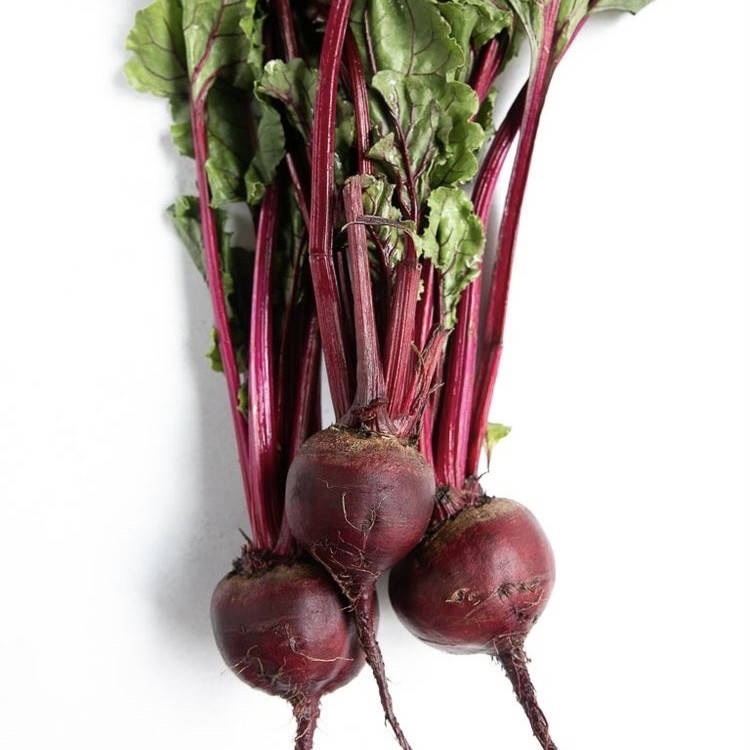 

Свекла красная столовая молодая