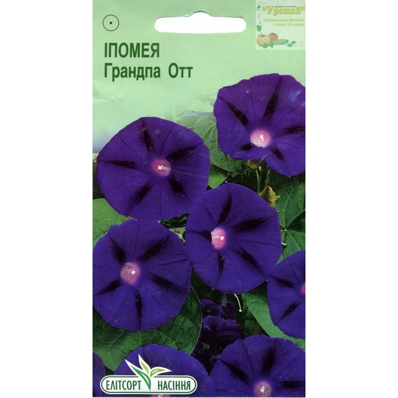 

Семена цветы Ипомея Грандпа Отт, 1 г, Фиолетовый