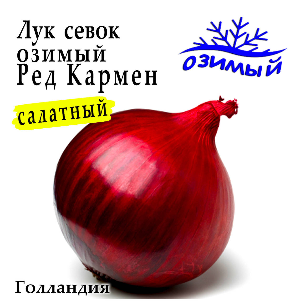 

Лук - севок озимый Ред Кармен (Red Karmen), TOP Голландия, 1 кг